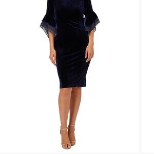 Adrianna Papell Midnight Velvet Dress